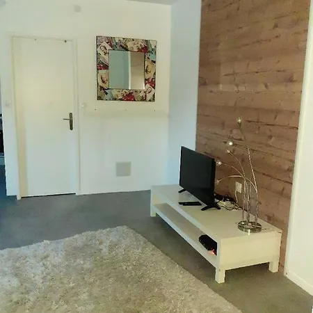 Apartamento With One Bedroom In With Wifi Schiltigheim